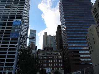 IMG 2019