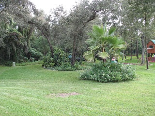 IMG 0328