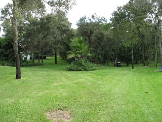 IMG 0329