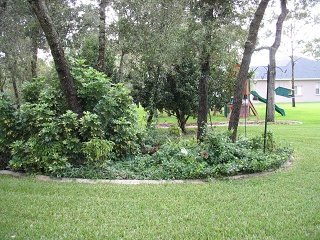 IMG 0333