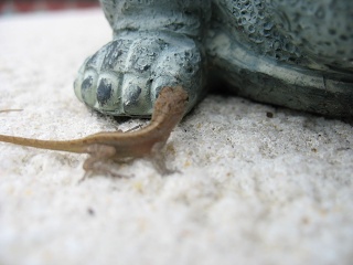 IMG 0347