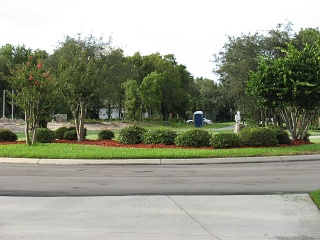 IMG 0358