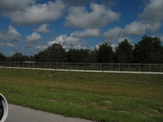 IMG 0374