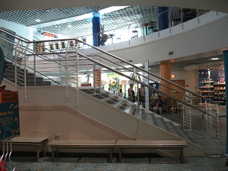 IMG 0414