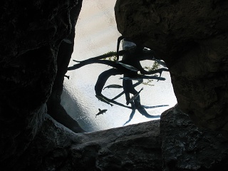 IMG 0418