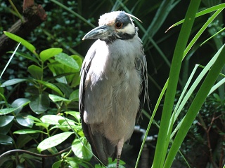IMG 0424