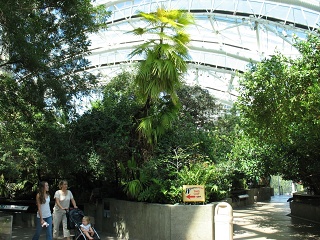 IMG 0430