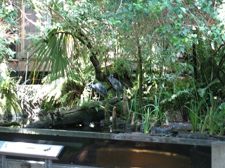 IMG 0431