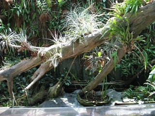 IMG 0433