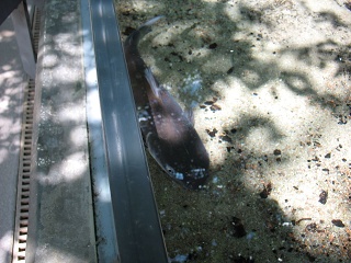 IMG 0434