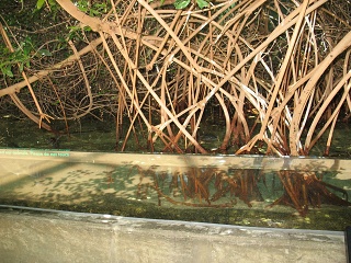 IMG 0436