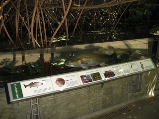 IMG 0437