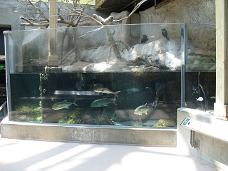 IMG 0442