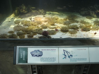 IMG 0445