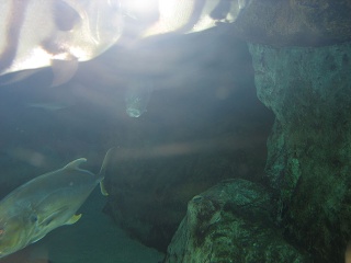 IMG 0449