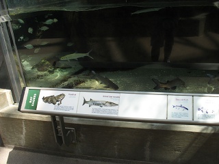 IMG 0451