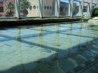 IMG 0464