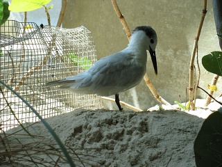 IMG 0470