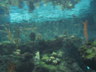 IMG 0472