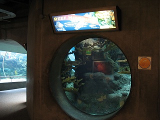 IMG 0477