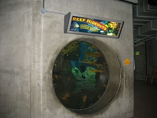 IMG 0481