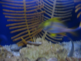 IMG 0487