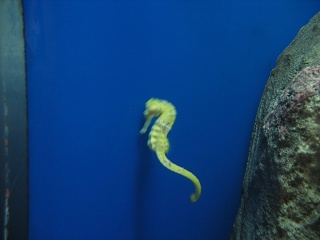 IMG 0490