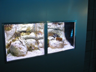 IMG 0500