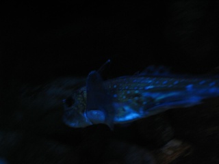 IMG 0501