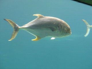 IMG 0504
