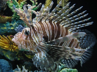 IMG 0509
