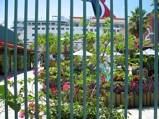 IMG 0513