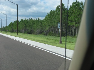 IMG 0519