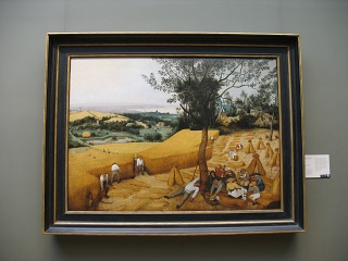 IMG 0886