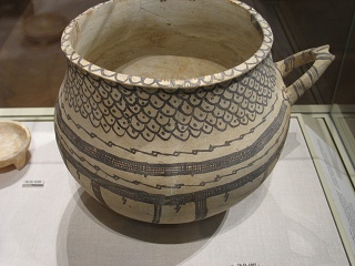 IMG 0895