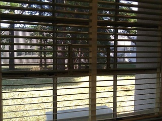 Office4