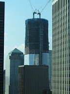IMG 1531