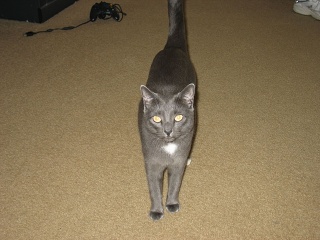 IMG 0776
