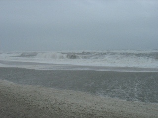 IMG 0709