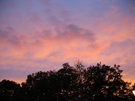 IMG 0767