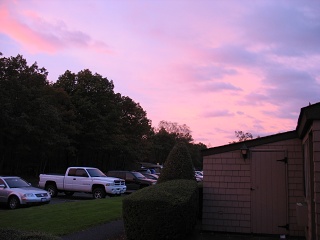 IMG 0771